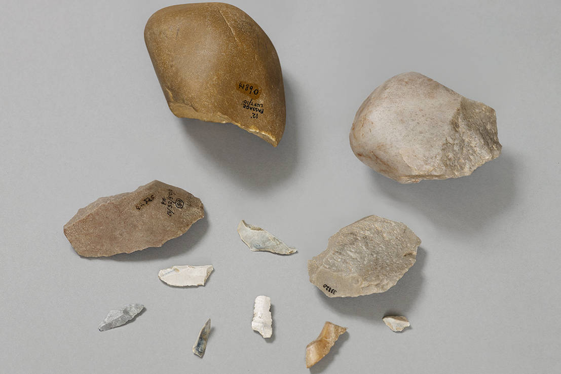 Stone tools made by Neanderthals Gallery Image